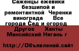 Саженцы ежевики безшипой и ремонтантной. Черенки винограда . - Все города Сад и огород » Другое   . Ханты-Мансийский,Нягань г.